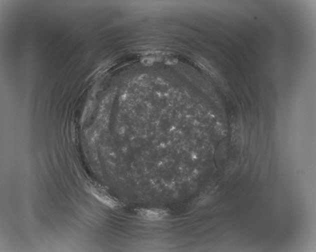 X0000080810165200701021325