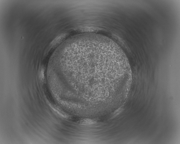 X0000080810166200701021325