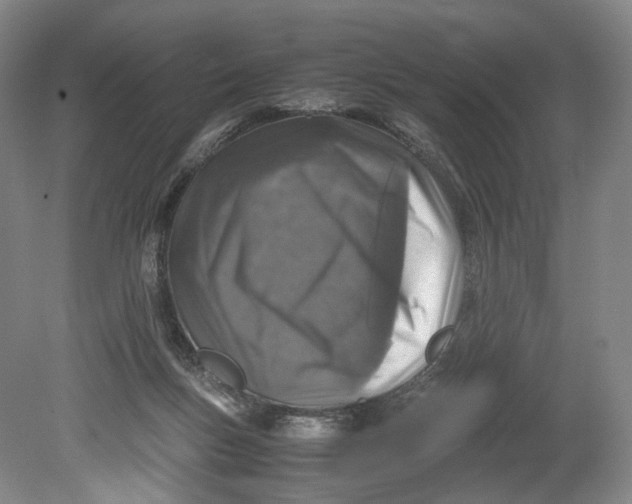 X0000080810167200701021325