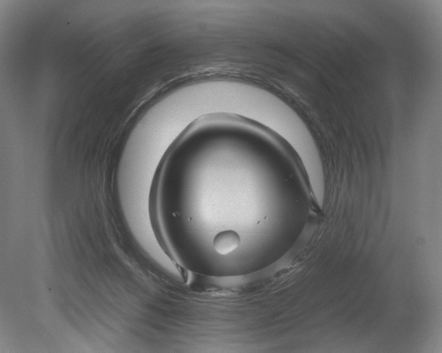 X0000080810168200701021325