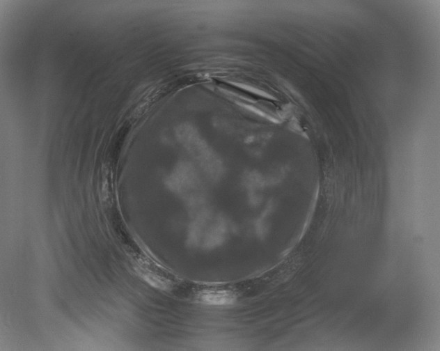 X0000080810169200701021325