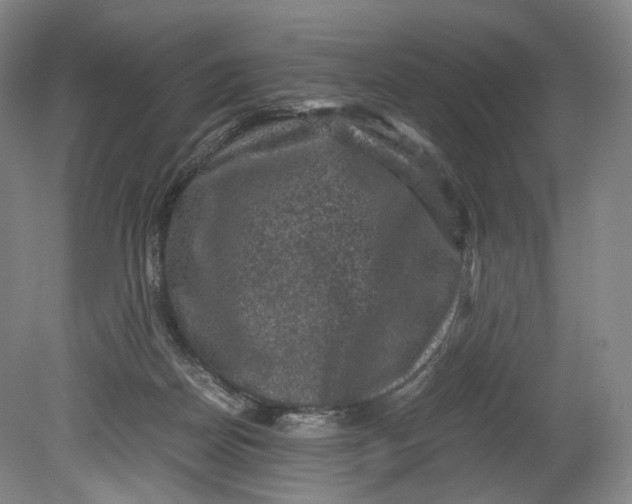 X0000080810170200701021325