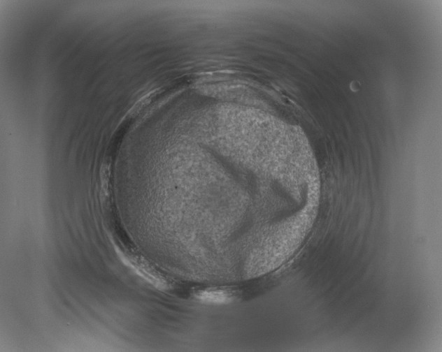 X0000080810171200701021325