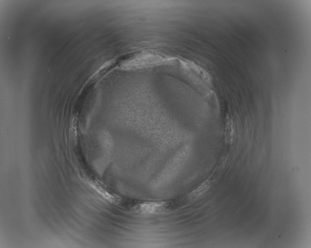 X0000080810172200701021325