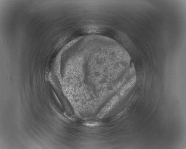 X0000080810175200701021325