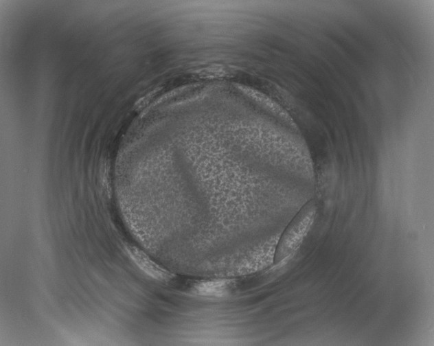 X0000080810178200701021325