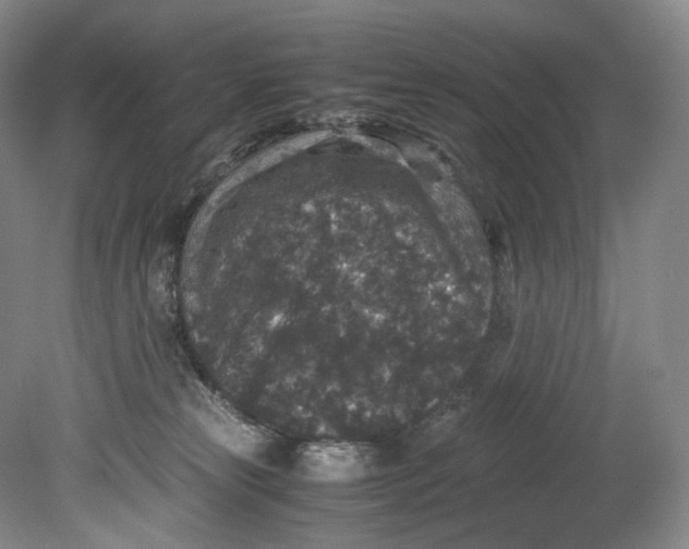 X0000080810181200701021325