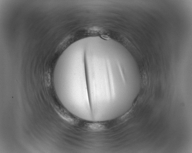 X0000080810183200701021325