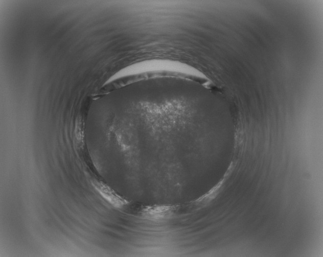 X0000080810186200701021325