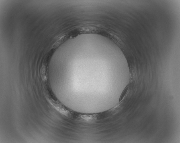 X0000080810187200701021325