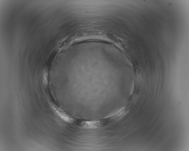 X0000080810188200701021325