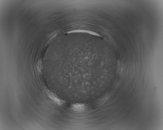 X0000080810189200701021325