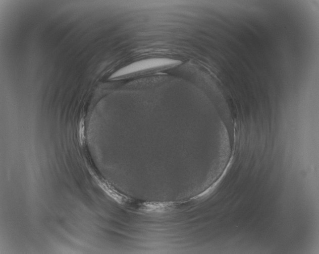 X0000080810190200701021325