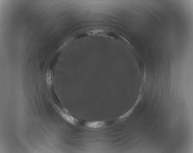 X0000080810191200701021325