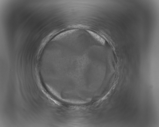 X0000080810193200701021324