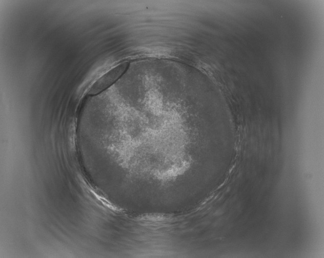 X0000080810194200701021324