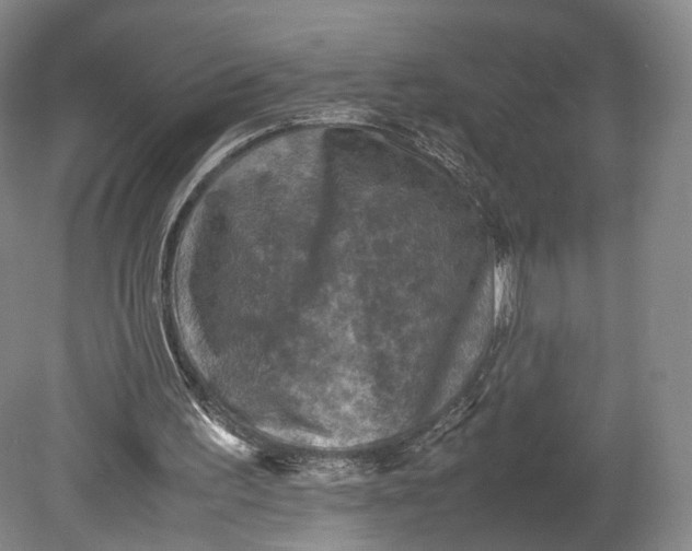 X0000080810195200701021324