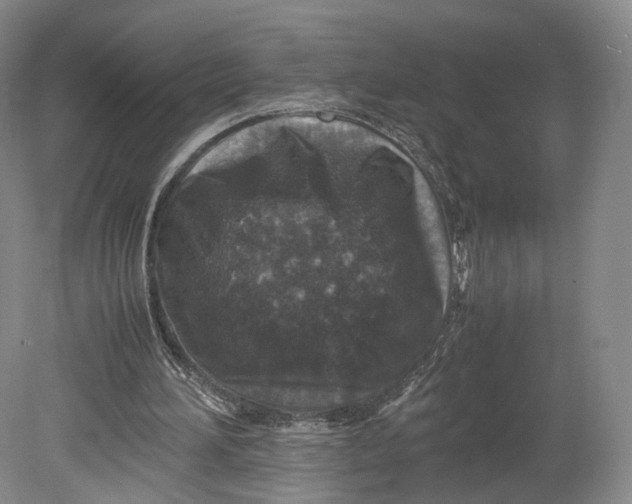 X0000080810196200701021324