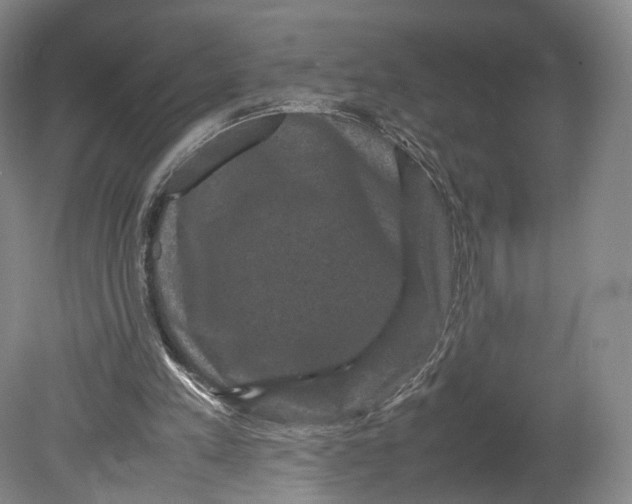 X0000080810197200701021324