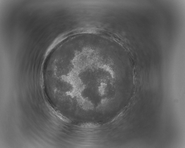 X0000080810198200701021324