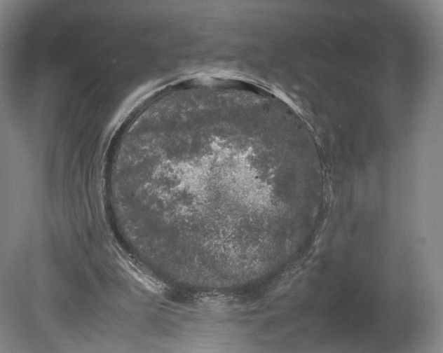 X0000080810199200701021324