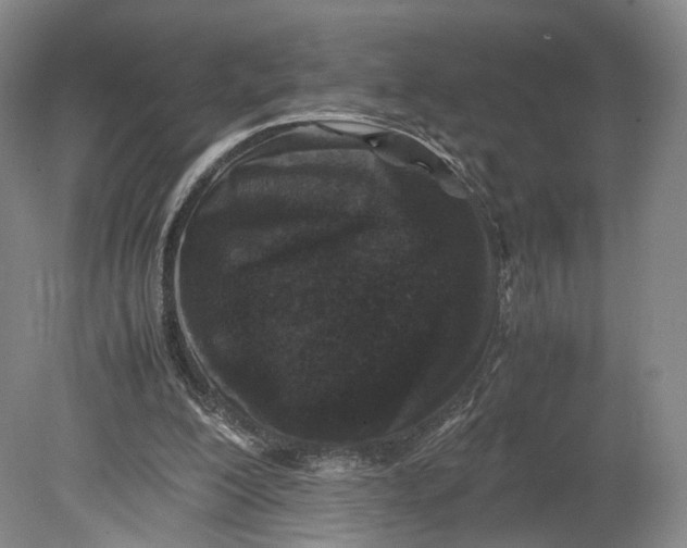 X0000080810200200701021324