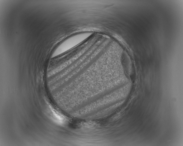 X0000080810201200701021324