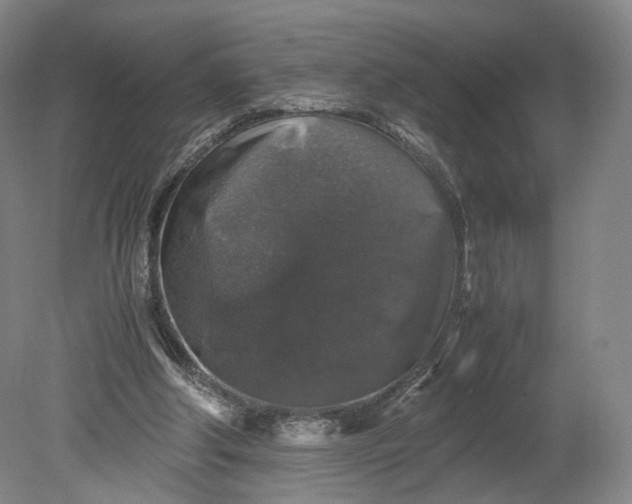 X0000080810202200701021324