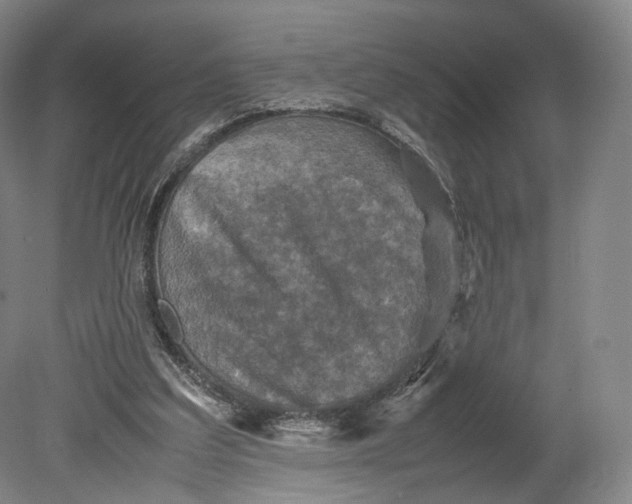 X0000080810203200701021324