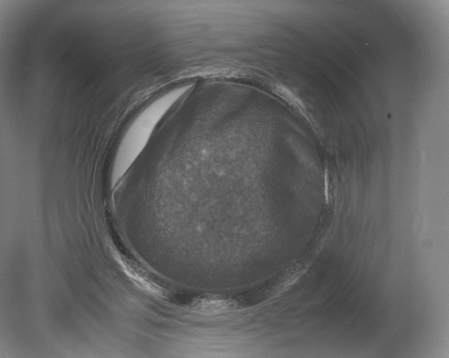 X0000080810205200701021324