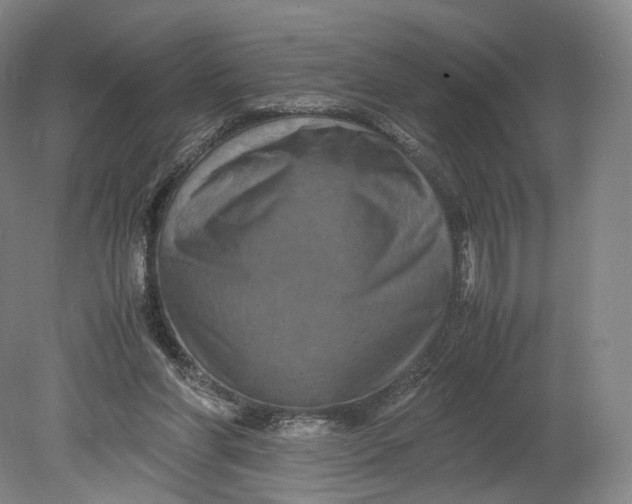 X0000080810206200701021324