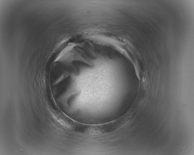 X0000080810207200701021324