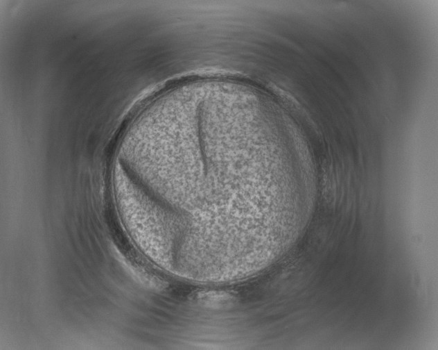 X0000080810208200701021324