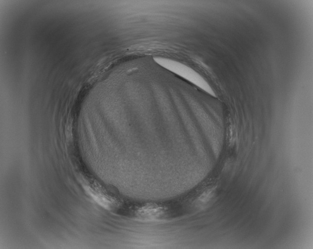 X0000080810213200701021324