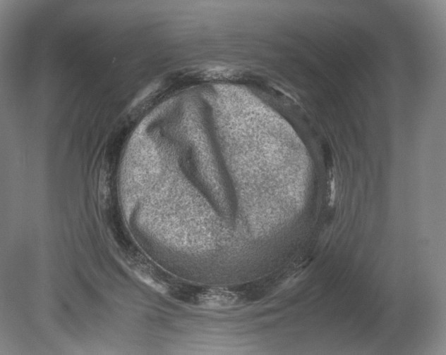 X0000080810215200701021324