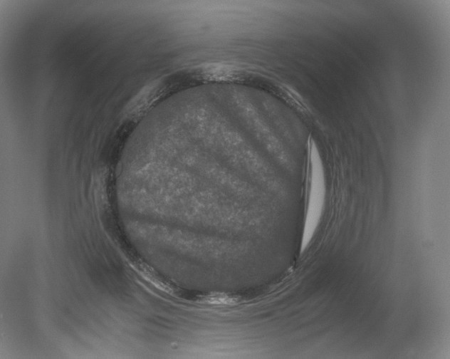 X0000080810217200701021324