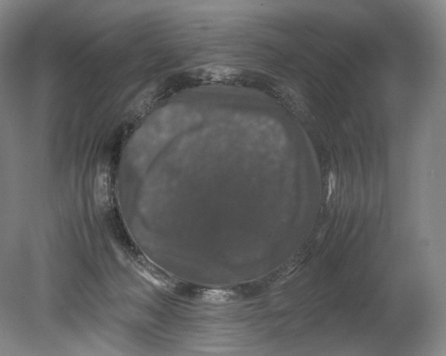 X0000080810222200701021324