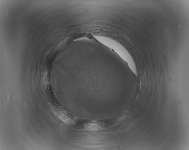 X0000080810224200701021324