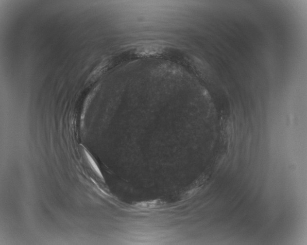 X0000080810227200701021324