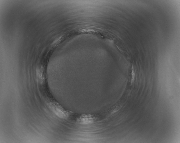 X0000080810228200701021324