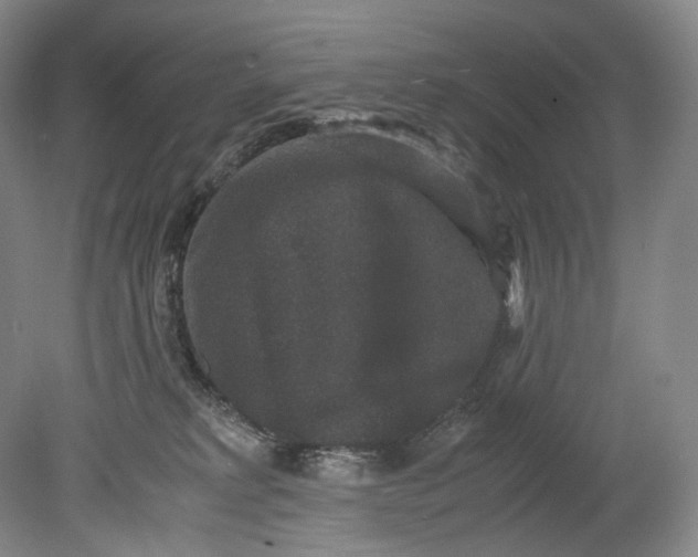 X0000080810229200701021324