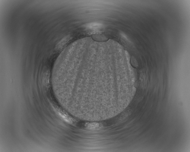 X0000080810230200701021324