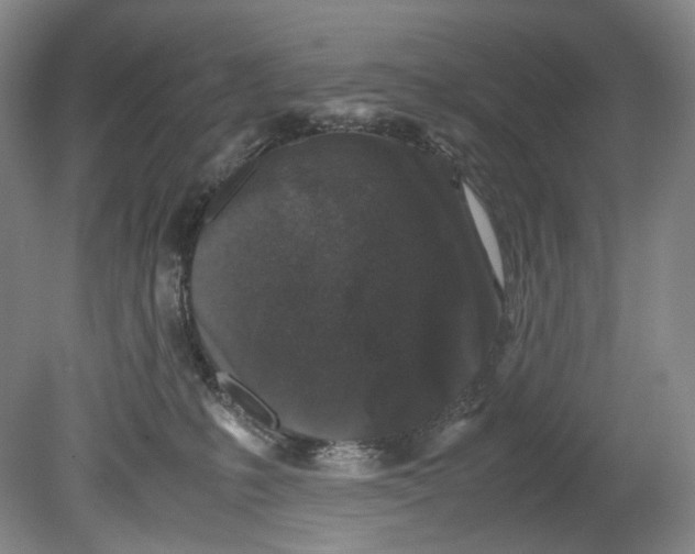 X0000080810231200701021324