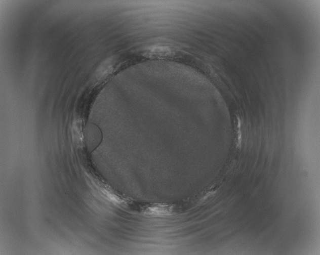 X0000080810232200701021324