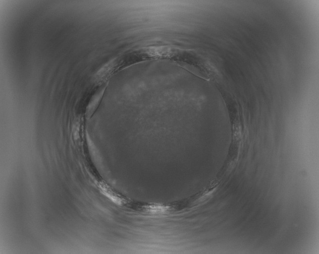 X0000080810233200701021324