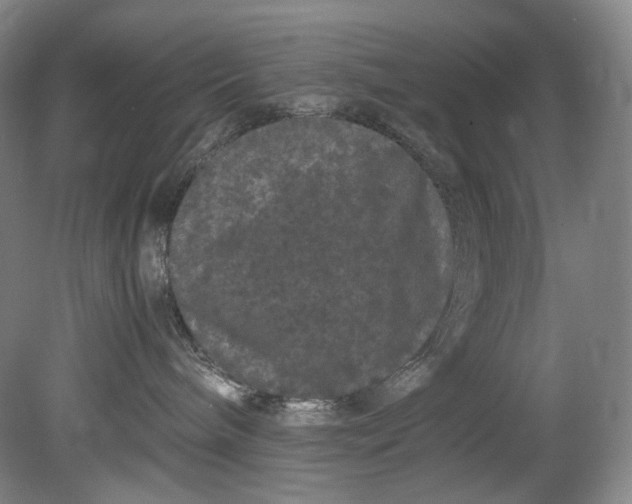 X0000080810240200701021324