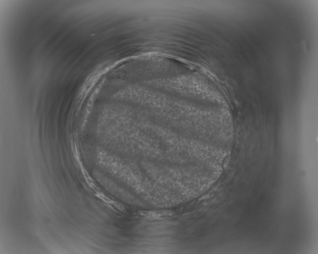 X0000080810241200701021323