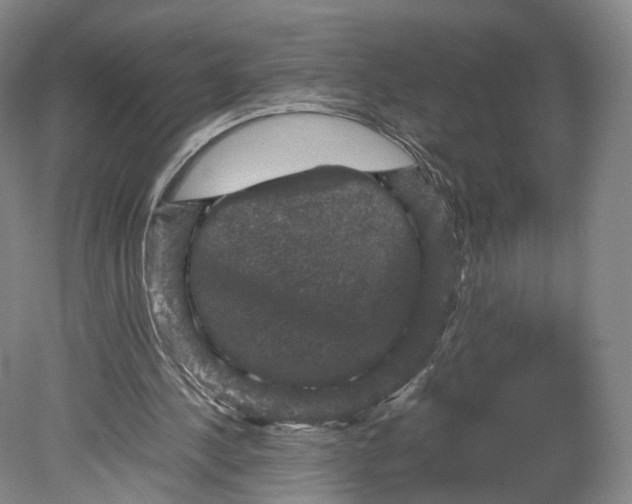 X0000080810244200701021323