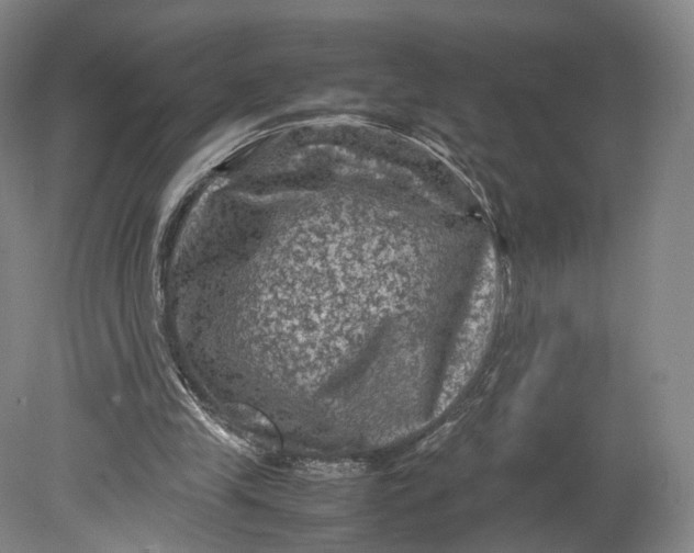 X0000080810245200701021323