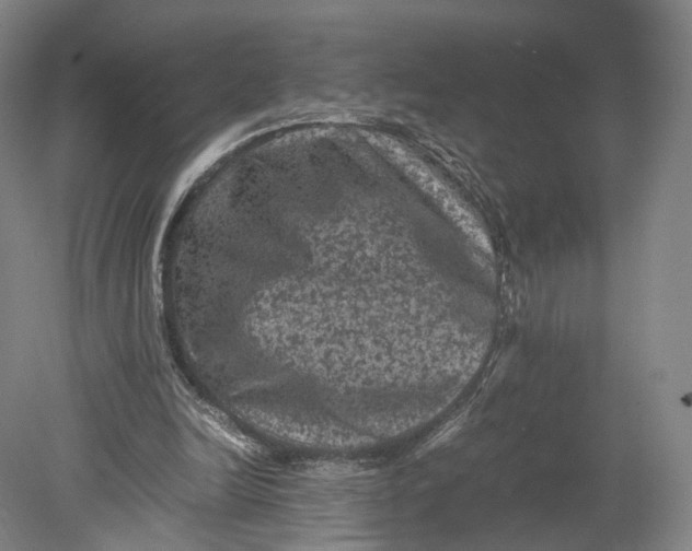 X0000080810246200701021323